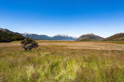 Landscape