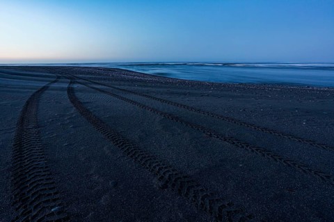 Tracks at beach