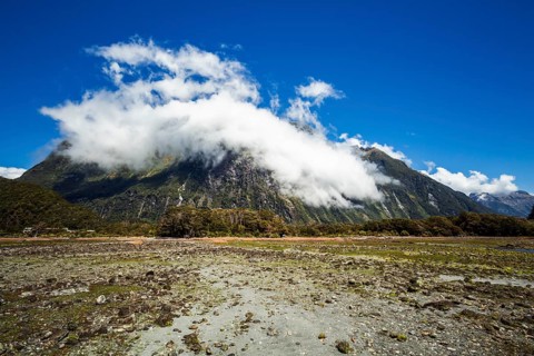New Zealand