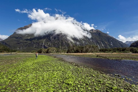 Guy at Milford Sound