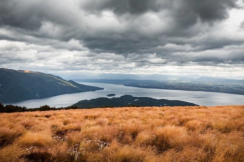 Landscape