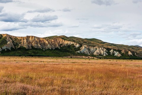 Landscape