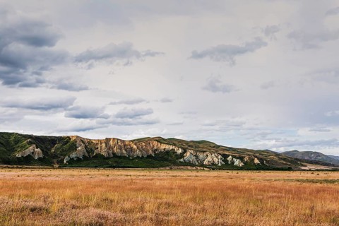 Landscape