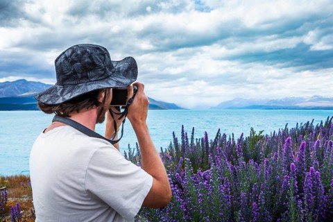 Guy with camera at a field of lupins (disambiguation)