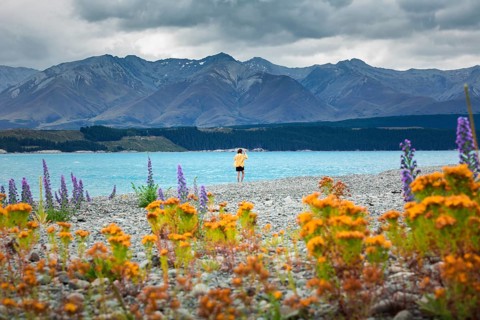 Guy at a beach at Lake Tekapo
