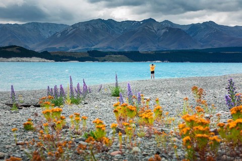 Guy at a beach at Lake Tekapo