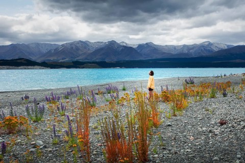 Guy at a beach at Lake Tekapo