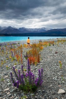 Guy at a beach at Lake Tekapo