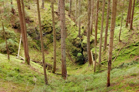Doline