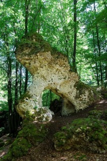 Loewentor