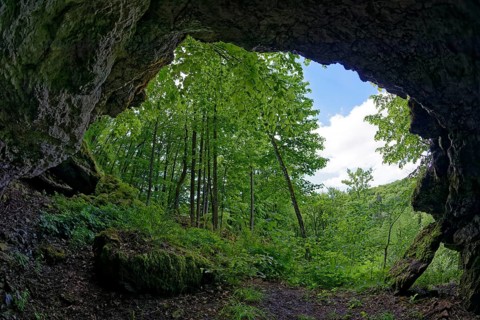 View from grotto