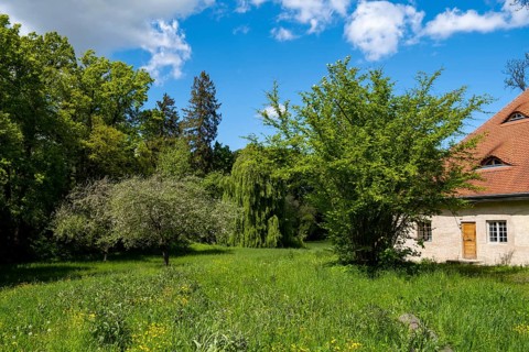Castle Park