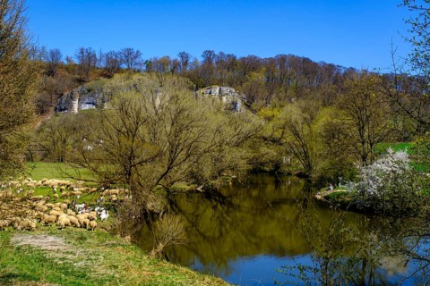 Altmuehl at Hagenacker