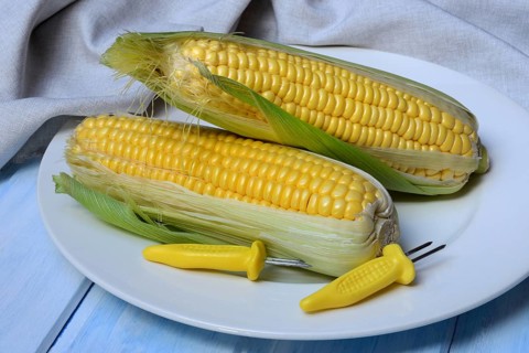 Corn corn cob and corn cob holder on plate