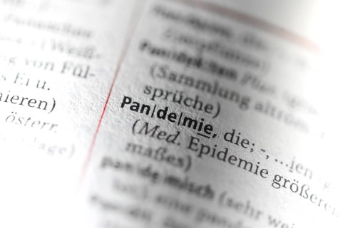 Entry of the term pandemic in the German Duden for spelling