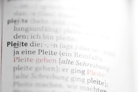 Entry of the term Pleite in the German Duden for spelling