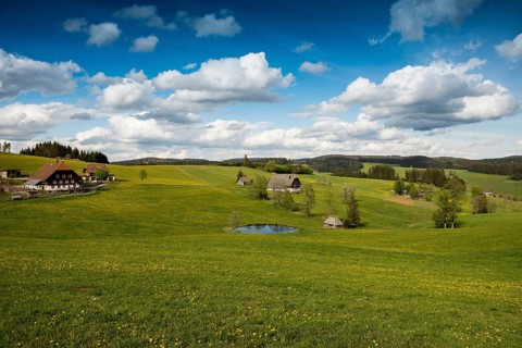 Farms and flower meadow and pond