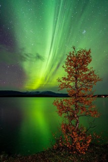 Northern lights above lake Tornetraesk