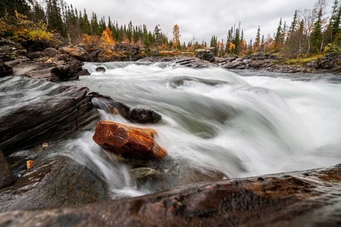 River Gauste