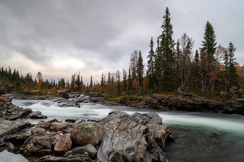 River Gauste