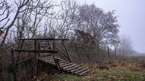 Hiking trail near Barby borg