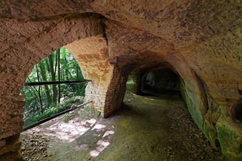 Lion pit