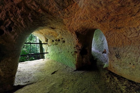 Lion pit