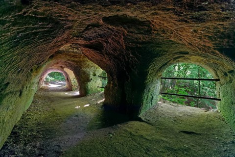 Lion pit