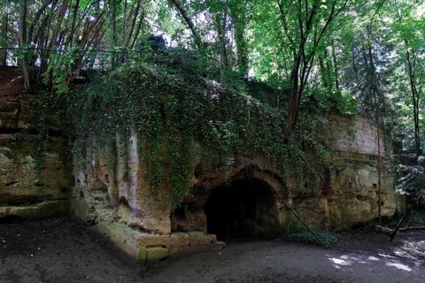 Lion pit