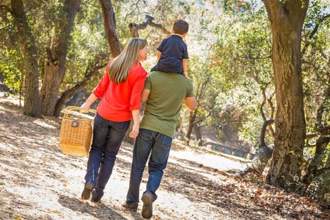 Happy mixed-race family with picnic basket enjoy a walk in the park
