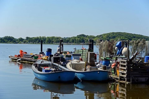 Fishing boats