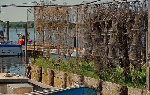 Fish traps