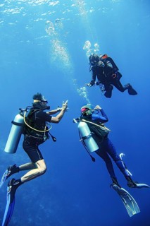 Divers discussing with dive guide while surfacing