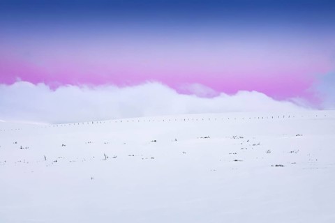 Winter landscape
