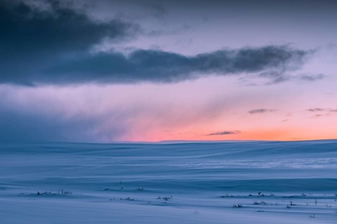 Winter landscape