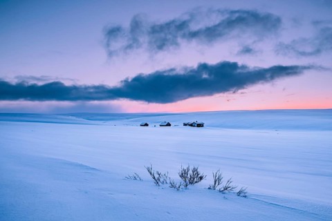 Holiday homes