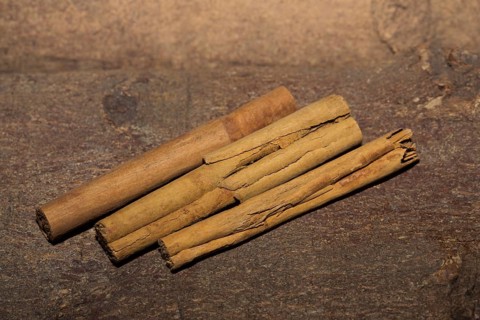 Cinnamon sticks (Cinnamomum verumaus) from Ceylon