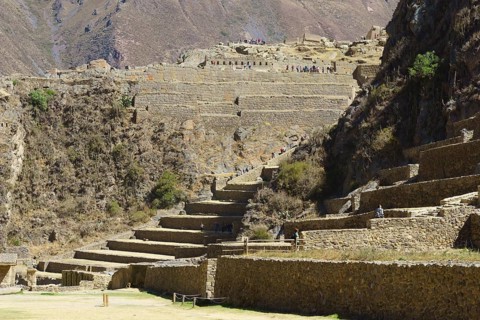 Terraces of the Inca ruins