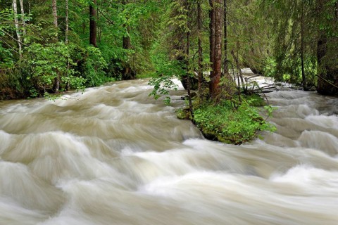 Schwarzwasserbach