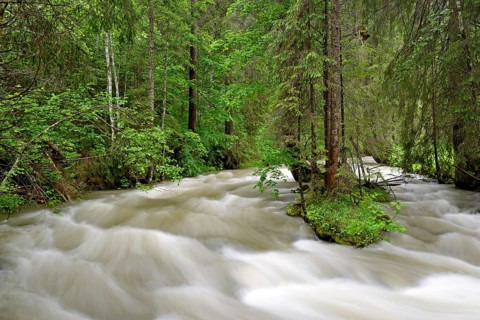 Schwarzwasserbach