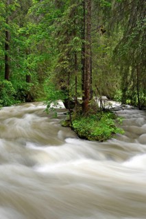 Schwarzwasserbach