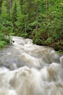 Schwarzwasserbach