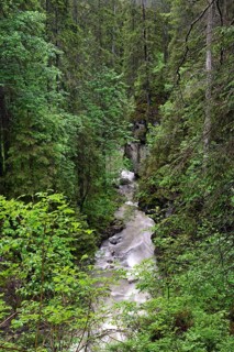 Schwarzwasserbach