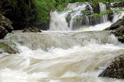 Schwarzwasserbach