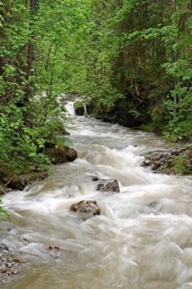 Schwarzwasserbach