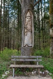Resting place with wooden bench and carving in tree trunk