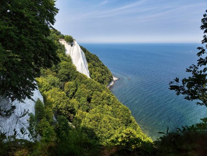 Chalk cliffs with beech forest on Baltic Sea coast