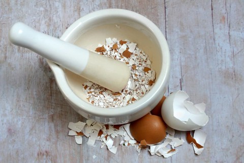 Broken eggshells crushed with mortar