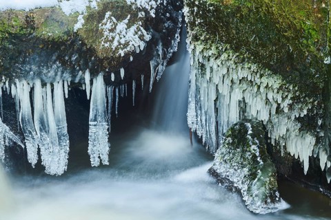 Icicles on the bank