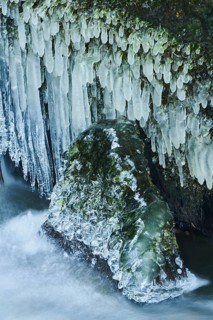 Icicles on the bank